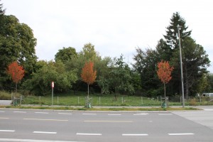 malerhaugen park 1