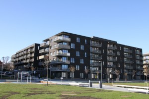 Oversiktsbilder på ensjø 026