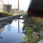 MP Verkshagen tiedemannsparken hovinbekken 069