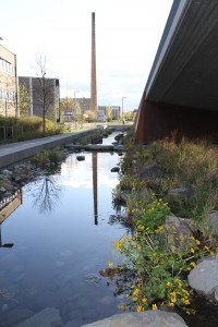 MP Verkshagen tiedemannsparken hovinbekken 069