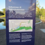 Teglverksdammen 026