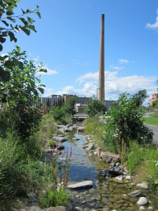 Teglverksdammen hovinbekken stålverksparken 011