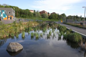 Hovinbekken på Ensjø 011