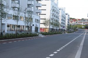Hovinbekken 5 juli 026