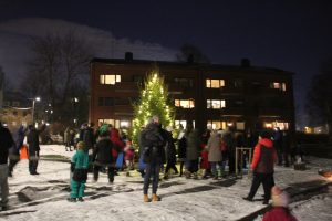 Julegran Malerhaugen 2017 002