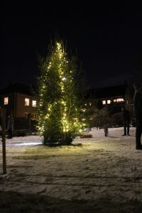 Julegran Malerhaugen 2017 021