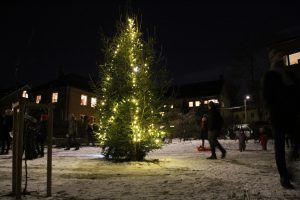 Julegran Malerhaugen 2017 022