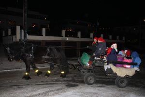 Julegran Malerhaugen 2017 048