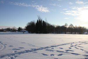 Påske stemmning på Ensjø Januar 2018 (17)