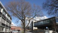     Da er det nok klart at ytterligere 2 av de gamle store trærne på Ensjø skal hugges ned for å få plass til boliger. Det er Neptun Properties […]