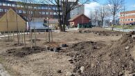 Denne uken og neste uke er anleggsgartnere i ferd med å legge siste hånd på den nyetablerte Grønvoll park. Det som tidligere var en grå parkeringsplass foran et næringsbygg, er […]